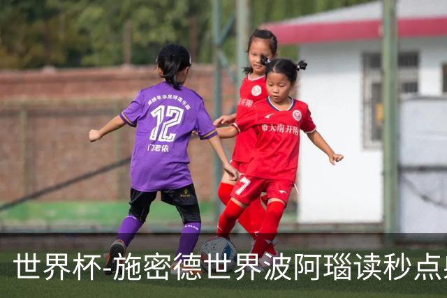世界杯-施密德世界波阿瑙读秒点射破门 奥地利3-1约旦