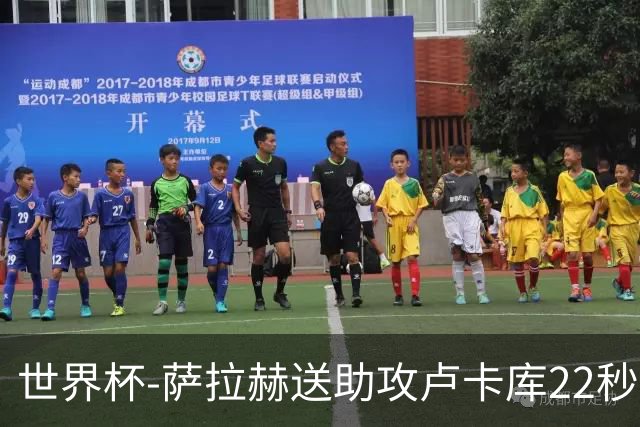 世界杯-萨拉赫送助攻卢卡库22秒造乌龙 比利时1-1埃及