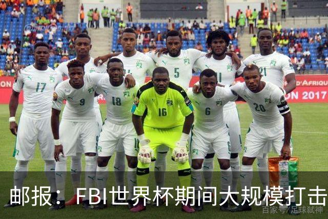 邮报：FBI世界杯期间大规模打击无人机活动，一名非法移民被捕